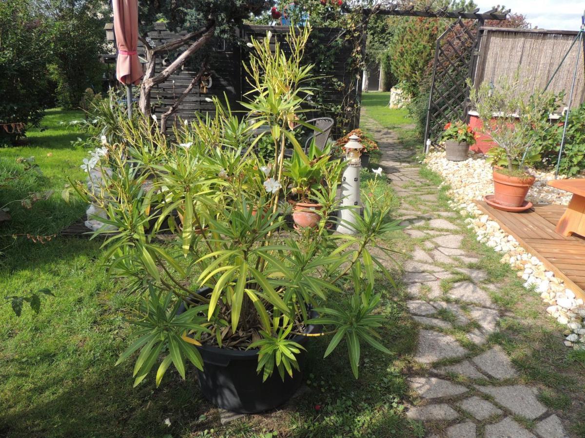 Ferienwohnung Am Hausberg In Radebeul Εξωτερικό φωτογραφία